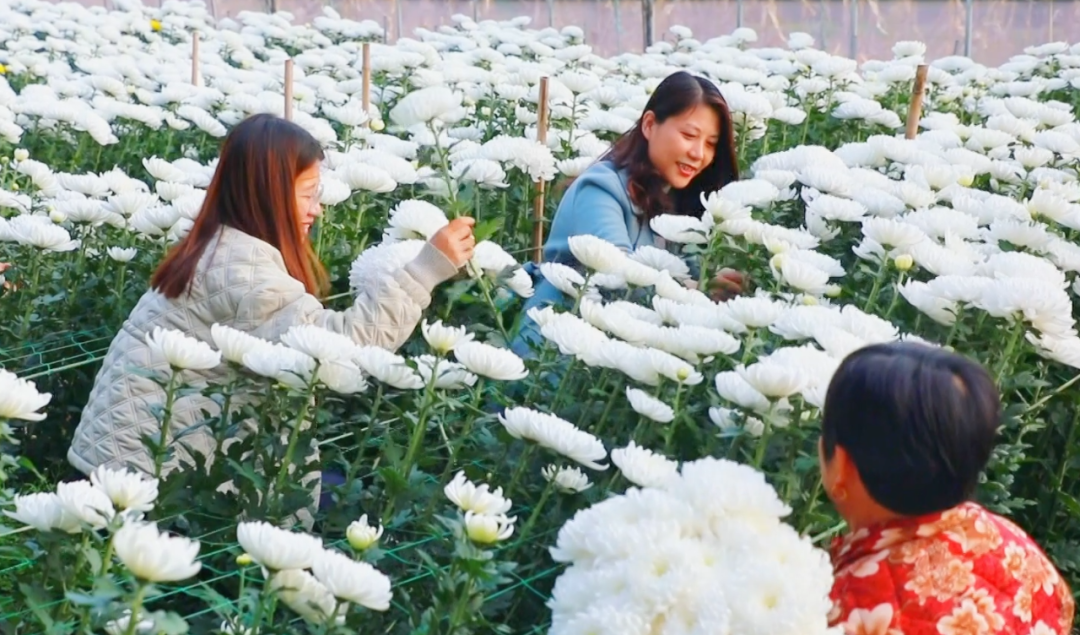 �F�ǅ^(q��)���ջ������M�ء���