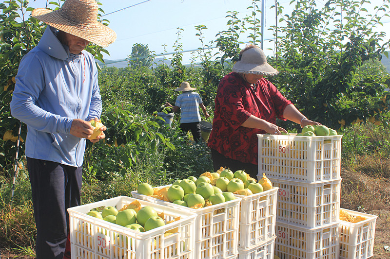 ��ó������Ѕ^(q��)ǰ�����@��(g��)���@���������ˣ�