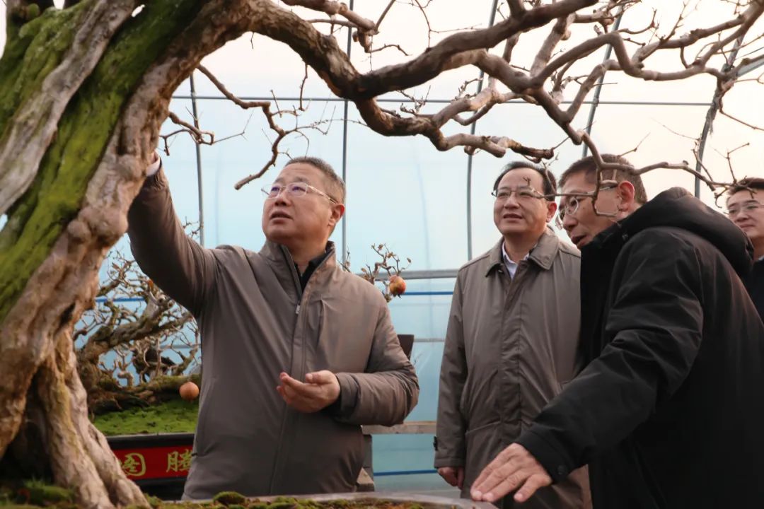 ���f��ί����(sh��)ӛ������ί��(sh��)ӛ����(gu��)�ށ�(l��i)�F�ǅ^(q��)�{(di��o)��ʯ��a(ch��n)�I(y��)�l(f��)չ����